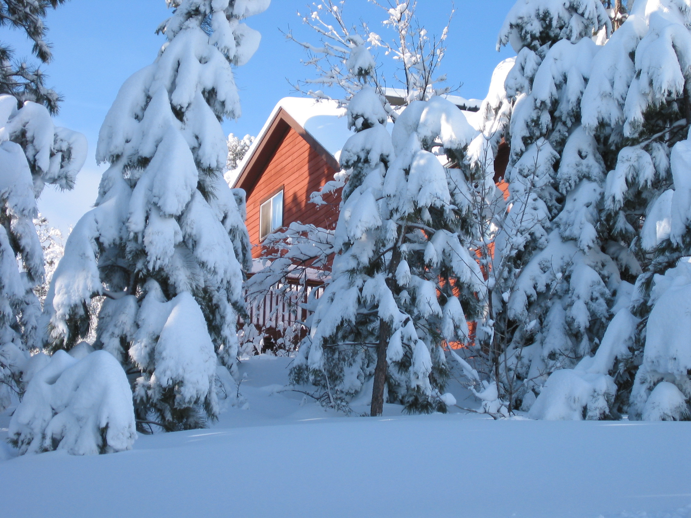 My Parents' house in the great blizzard of March 
2003